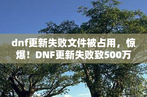 dnf更新失败文件被占用，惊爆！DNF更新失败致500万打水漂，背后隐情让人吓一跳！