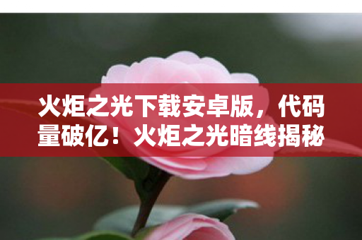 火炬之光下载安卓版，代码量破亿！火炬之光暗线揭秘，当社恐用战术指挥征服虚拟世界，头皮发麻的真相来了