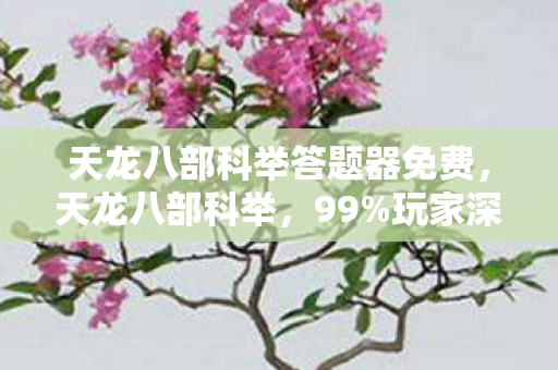 天龙八部科举答题器免费，天龙八部科举，99%玩家深陷的迷局，你可知那1%的扎心真相？