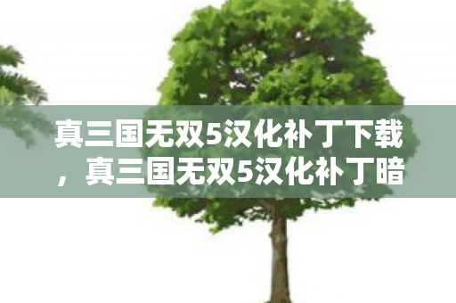 真三国无双5汉化补丁下载，真三国无双5汉化补丁暗藏玄机，血色线索引悬案，毛骨悚然真相揭晓