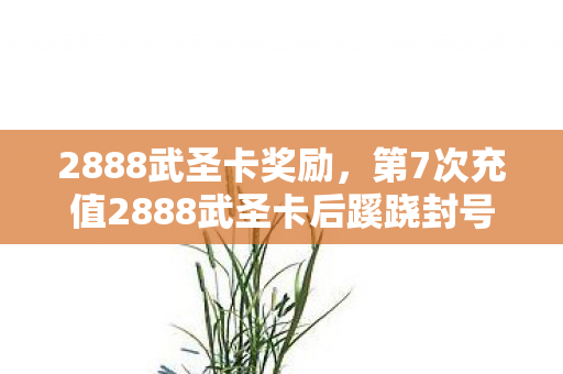 2888武圣卡奖励，第7次充值2888武圣卡后蹊跷封号，真相让我后背发凉！