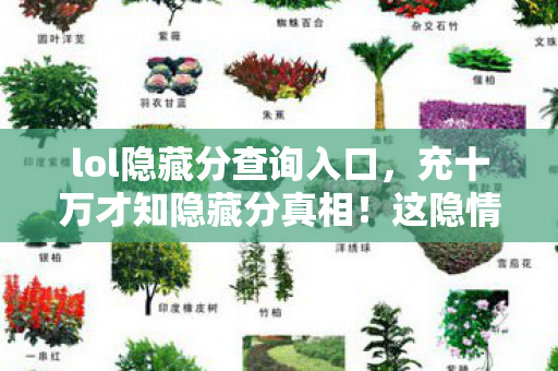 lol隐藏分查询入口,充十万才知隐藏分真相!这隐情让我钱包和心一起吓一跳! lol隐藏分查询入口,充十万才知隐藏分真相!这隐情让我钱包和心一起吓一跳!