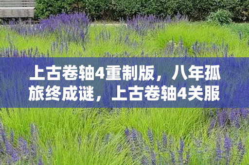 上古卷轴4重制版,八年孤旅终成谜,上古卷轴4关服泪目无痕 上古卷轴4重制版,八年孤旅终成谜,上古卷轴4关服泪目无痕