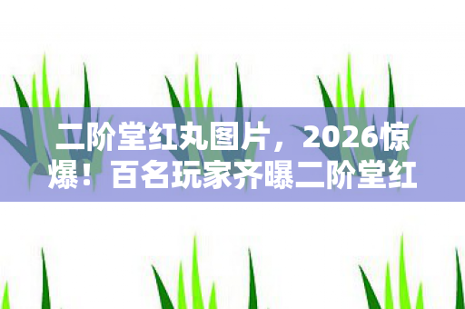 二阶堂红丸图片，2026惊爆！百名玩家齐曝二阶堂红丸疑点，真相揭晓时众人绷不住了
