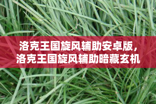 洛克王国旋风辅助安卓版,洛克王国旋风辅助暗藏玄机,神秘代码背后的悬案与毛骨悚然真相 洛克王国旋风辅助安卓版,洛克王国旋风辅助暗藏玄机,神秘代码背后的悬案与毛骨悚然真相
