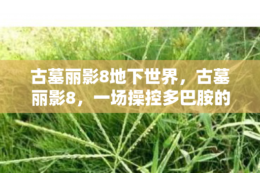古墓丽影8地下世界,古墓丽影8,一场操控多巴胺的心理实验,沉迷背后细思极恐 古墓丽影8地下世界,古墓丽影8,一场操控多巴胺的心理实验,沉迷背后细思极恐