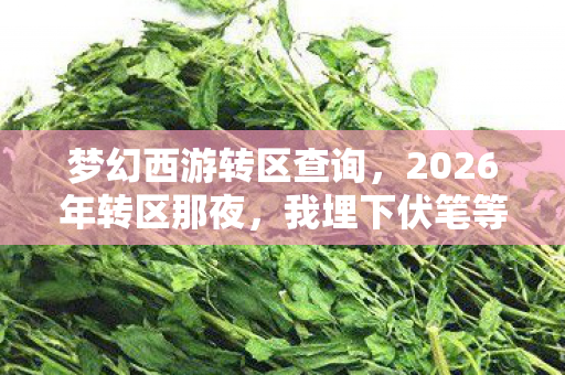 梦幻西游转区查询，2026年转区那夜，我埋下伏笔等你，如今想起仍鼻子一酸
