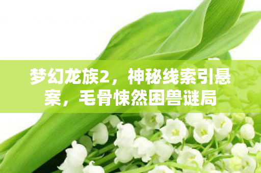 梦幻龙族2,神秘线索引悬案,毛骨悚然困兽谜局 梦幻龙族2,神秘线索引悬案,毛骨悚然困兽谜局