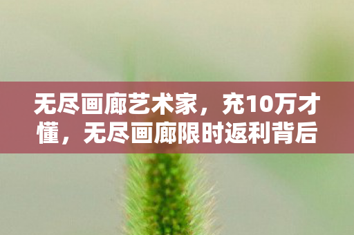 无尽画廊艺术家，充10万才懂，无尽画廊限时返利背后，是吃人不吐骨头的连环套！