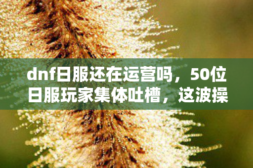dnf日服还在运营吗，50位日服玩家集体吐槽，这波操作太离谱，策划我绷不住了！
