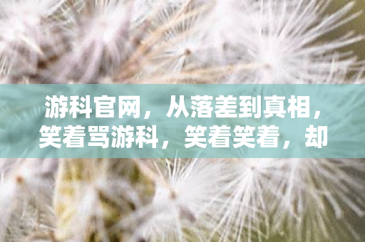 游科官网,从落差到真相,笑着骂游科,笑着笑着,却哭着又登了号 游科官网,从落差到真相,笑着骂游科,笑着笑着,却哭着又登了号