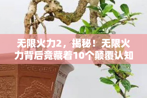 无限火力2,揭秘!无限火力背后竟藏着10个颠覆认知的神秘设计逻辑! 无限火力2,揭秘!无限火力背后竟藏着10个颠覆认知的神秘设计逻辑!