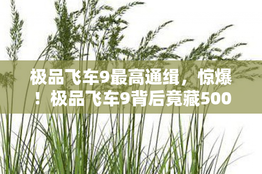 极品飞车9最高通缉,惊爆!极品飞车9背后竟藏500万隐情,真相让人吓一跳! 极品飞车9最高通缉,惊爆!极品飞车9背后竟藏500万隐情,真相让人吓一跳!