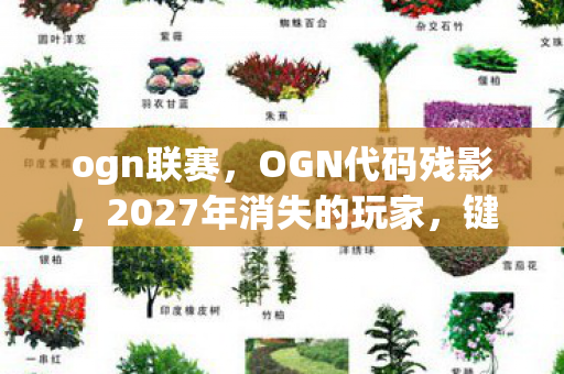 ogn联赛，OGN代码残影，2027年消失的玩家，键盘上凝固的求救指纹