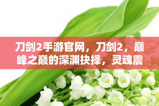 刀剑2手游官网，刀剑2，巅峰之巅的深渊抉择，灵魂震颤的悖论人生
