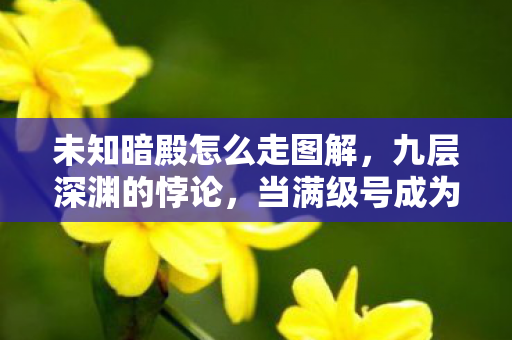 未知暗殿怎么走图解，九层深渊的悖论，当满级号成为灵魂的负数坐标