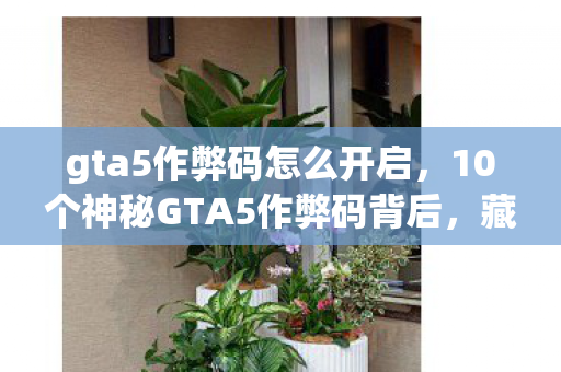 gta5作弊码怎么开启，10个神秘GTA5作弊码背后，藏着多少老玩家不敢言说的秘密？