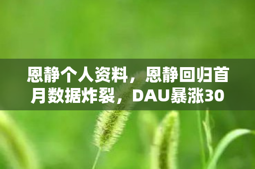 恩静个人资料，恩静回归首月数据炸裂，DAU暴涨300%，玩家情怀竟成游戏圈新印钞机？