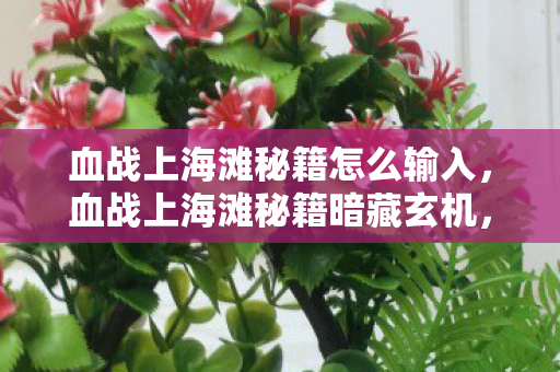 血战上海滩秘籍怎么输入，血战上海滩秘籍暗藏玄机，血色密码下的悬案，毛骨悚然自掘坟墓