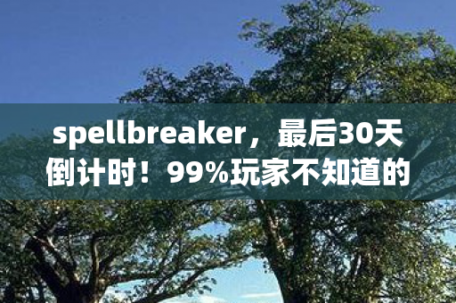 spellbreaker，最后30天倒计时！99%玩家不知道的保命连招，泪目告别我的元素战场