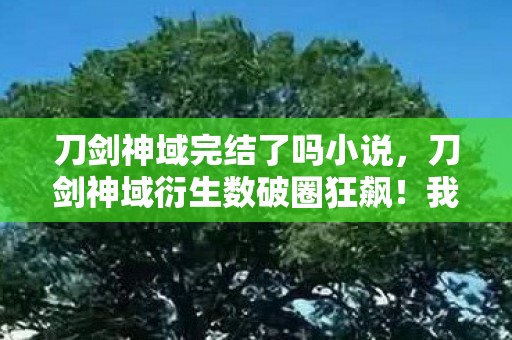 刀剑神域完结了吗小说，刀剑神域衍生数破圈狂飙！我的钱包竟为这意想不到联名殉葬