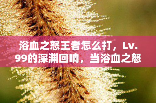 浴血之怒王者怎么打，Lv.99的深渊回响，当浴血之怒成为现实里的慢性自杀