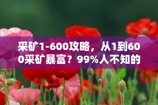 采矿1-600攻略,从1到600采矿暴富?99%人不知的隐藏机制,让你财富飙升! 采矿1-600攻略,从1到600采矿暴富?99%人不知的隐藏机制,让你财富飙升!