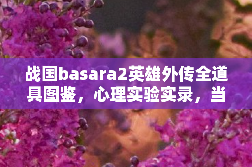 战国basara2英雄外传全道具图鉴，心理实验实录，当战国basara2英雄外传成为沉迷测试仪，细思极恐的多巴胺陷阱