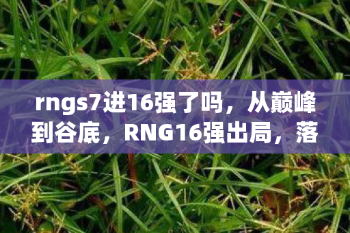 rngs7进16强了吗，从巅峰到谷底，RNG16强出局，落差背后真相揭晓，笑着笑着哭了