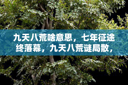 九天八荒啥意思，七年征途终落幕，九天八荒谜局散，泪目见证终章时