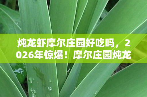 炖龙虾摩尔庄园好吃吗,2026年惊爆!摩尔庄园炖龙虾竟藏惊天秘密,你敢来探吗? 炖龙虾摩尔庄园好吃吗,2026年惊爆!摩尔庄园炖龙虾竟藏惊天秘密,你敢来探吗?