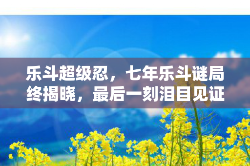 乐斗超级忍,七年乐斗谜局终揭晓,最后一刻泪目见证服务器熄灯 乐斗超级忍,七年乐斗谜局终揭晓,最后一刻泪目见证服务器熄灯