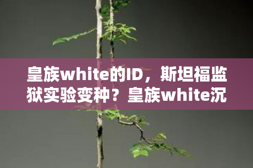 皇族white的ID，斯坦福监狱实验变种？皇族white沉迷陷阱，细思极恐的多巴胺牢笼