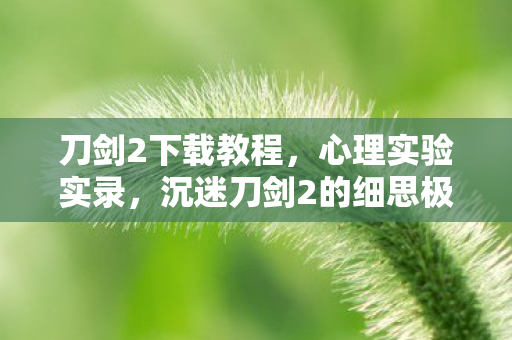 刀剑2下载教程，心理实验实录，沉迷刀剑2的细思极恐——我的六年自我麻醉史