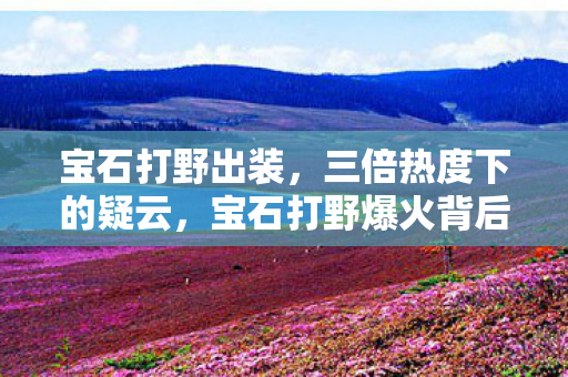 宝石打野出装，三倍热度下的疑云，宝石打野爆火背后，谁让玩家心寒？