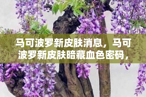 马可波罗新皮肤消息，马可波罗新皮肤暗藏血色密码，2027悬案，谁在密室里留下带血的指南针？