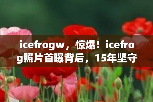 icefrogw，惊爆！icefrog照片首曝背后，15年坚守竟藏着这3个致命秘密？