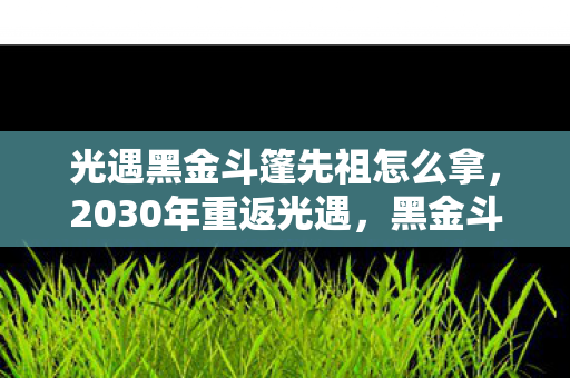 光遇黑金斗篷先祖怎么拿,2030年重返光遇,黑金斗篷的秘密,竟藏着一场跨越十年的震撼真相! 光遇黑金斗篷先祖怎么拿,2030年重返光遇,黑金斗篷的秘密,竟藏着一场跨越十年的震撼真相!