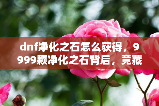 dnf净化之石怎么获得，9999颗净化之石背后，竟藏着DNF十年未解的惊天秘密？