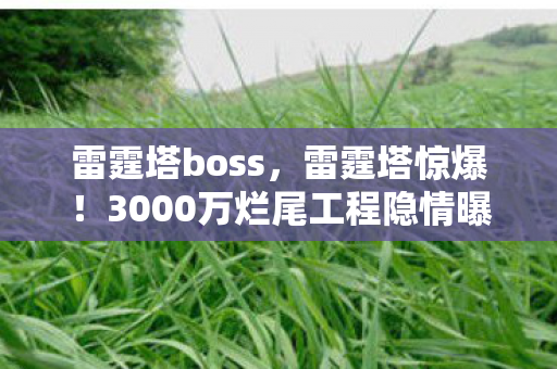 雷霆塔boss，雷霆塔惊爆！3000万烂尾工程隐情曝光，这数据真让人吓一跳！