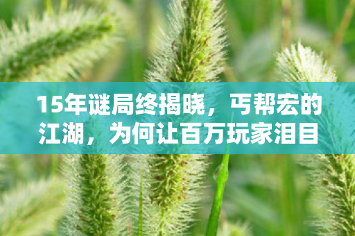 15年谜局终揭晓，丐帮宏的江湖，为何让百万玩家泪目？