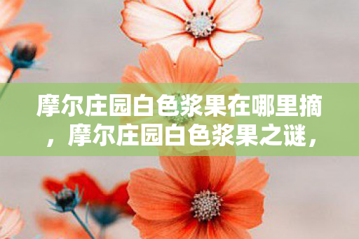 摩尔庄园白色浆果在哪里摘，摩尔庄园白色浆果之谜，落差感拉满的真相，笑着笑着就哭了