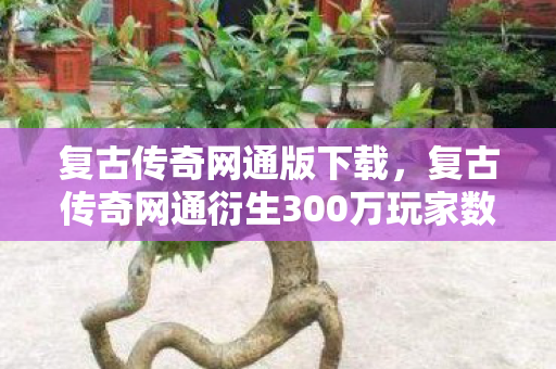 复古传奇网通版下载，复古传奇网通衍生300万玩家数据破圈！当像素风杀进音乐综艺与高定时装周