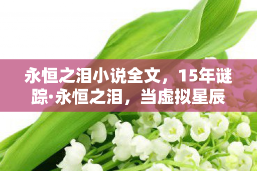 永恒之泪小说全文,15年谜踪·永恒之泪,当虚拟星辰坠入现实深渊 永恒之泪小说全文,15年谜踪·永恒之泪,当虚拟星辰坠入现实深渊
