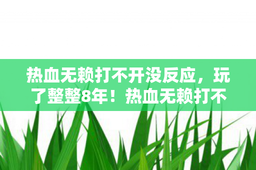 热血无赖打不开没反应，玩了整整8年！热血无赖打不开的3大谜团，我该继续等还是彻底放弃？
