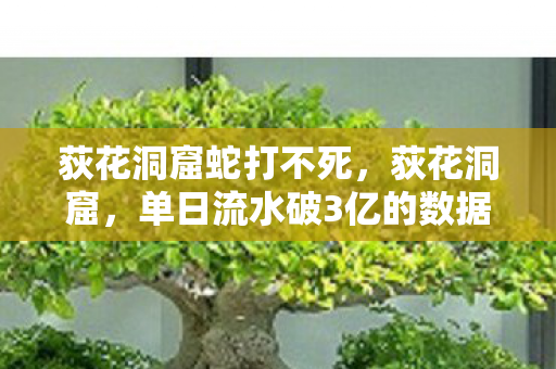 荻花洞窟蛇打不死,荻花洞窟,单日流水破3亿的数据黑洞,为何让800万玩家集体破防又真香? 荻花洞窟蛇打不死,荻花洞窟,单日流水破3亿的数据黑洞,为何让800万玩家集体破防又真香?
