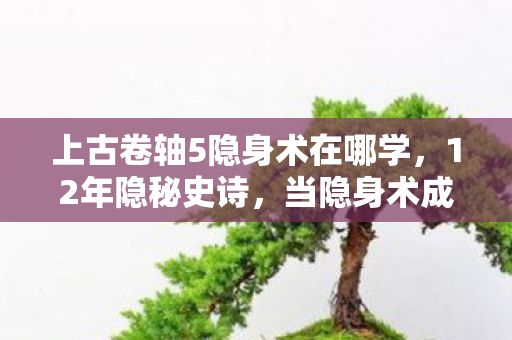 上古卷轴5隐身术在哪学,12年隐秘史诗,当隐身术成为天际省最后的眼泪 上古卷轴5隐身术在哪学,12年隐秘史诗,当隐身术成为天际省最后的眼泪