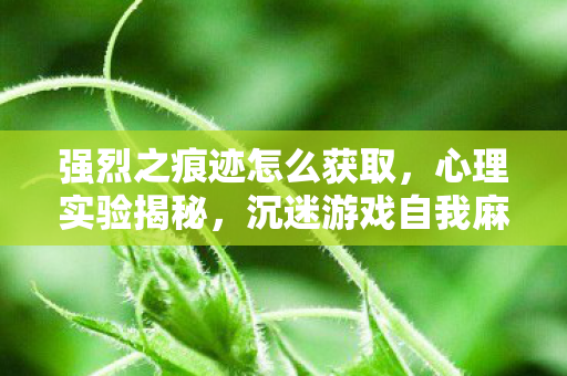 强烈之痕迹怎么获取，心理实验揭秘，沉迷游戏自我麻醉，细思极恐的失控人生