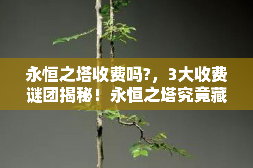 永恒之塔收费吗?，3大收费谜团揭秘！永恒之塔究竟藏着多少玩家未知的真相？