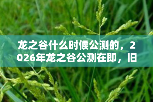 龙之谷什么时候公测的，2026年龙之谷公测在即，旧情如梦，那些年谁曾为你扛下风雨？